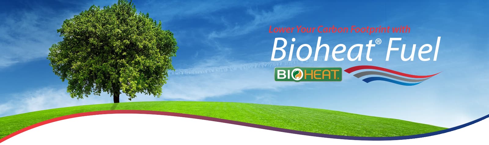 bioheat1_NEW.png